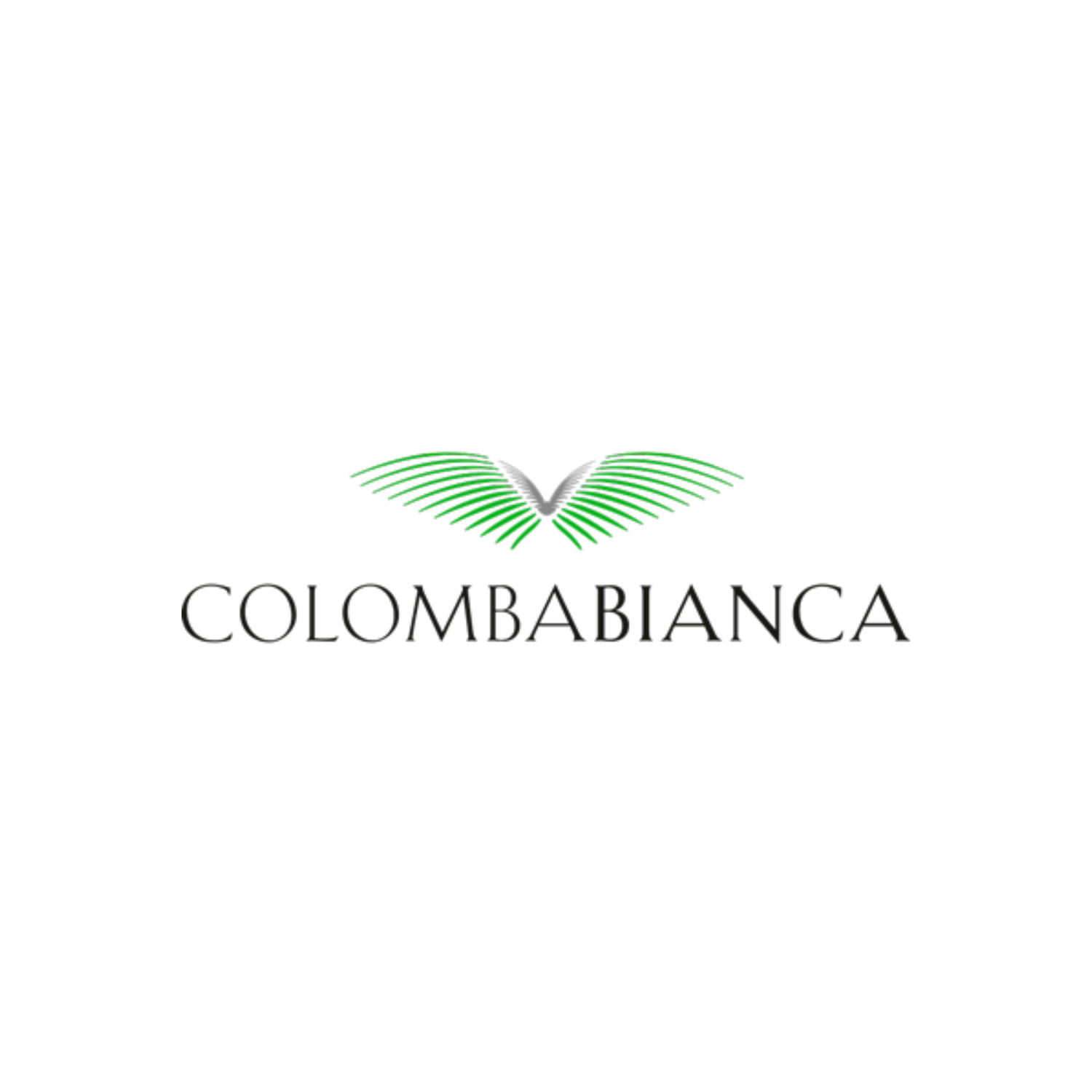 COLOMBA BIANCA - VITESE